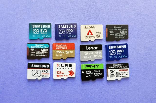 A handful of the microSD cards we tested for our best microSD card buying guide, including the Samsung Evo Select, Samsung Pro Plus (2023), SanDisk microSDXC Card for Nintendo Switch, Kingston Select Plus, Kingston Canvas Go Plus, SanDisk Extreme, Lexar Professional 1066x, Samsung Pro Plus (2021), Samsung Pro Endurance, PNY XLR8 Gaming, PNY Elite-X and Kingston High Endurance.